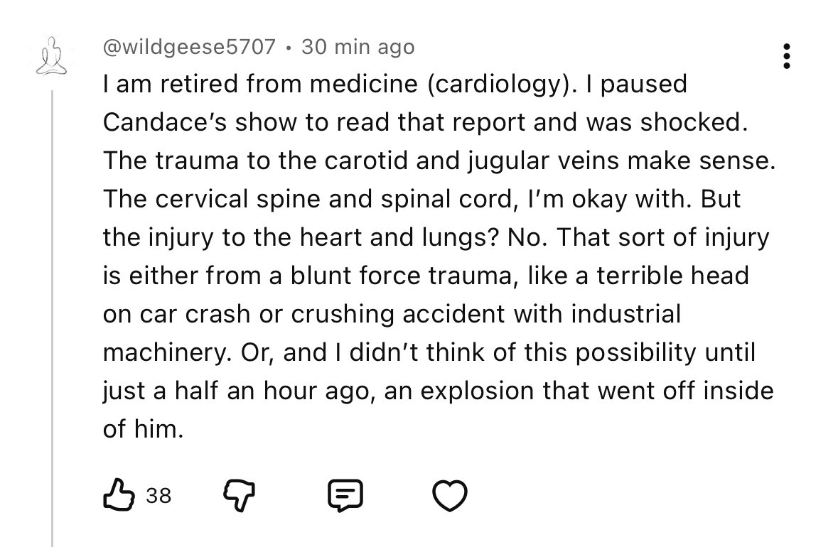 Screenshot of a YouTube comment by @wildgeese5707, self-identified as retired from cardiology, saying the carotid, jugular, cervical spine and spinal cord injuries make sense but the heart and lung injuries read as blunt force trauma or an internal explosion.