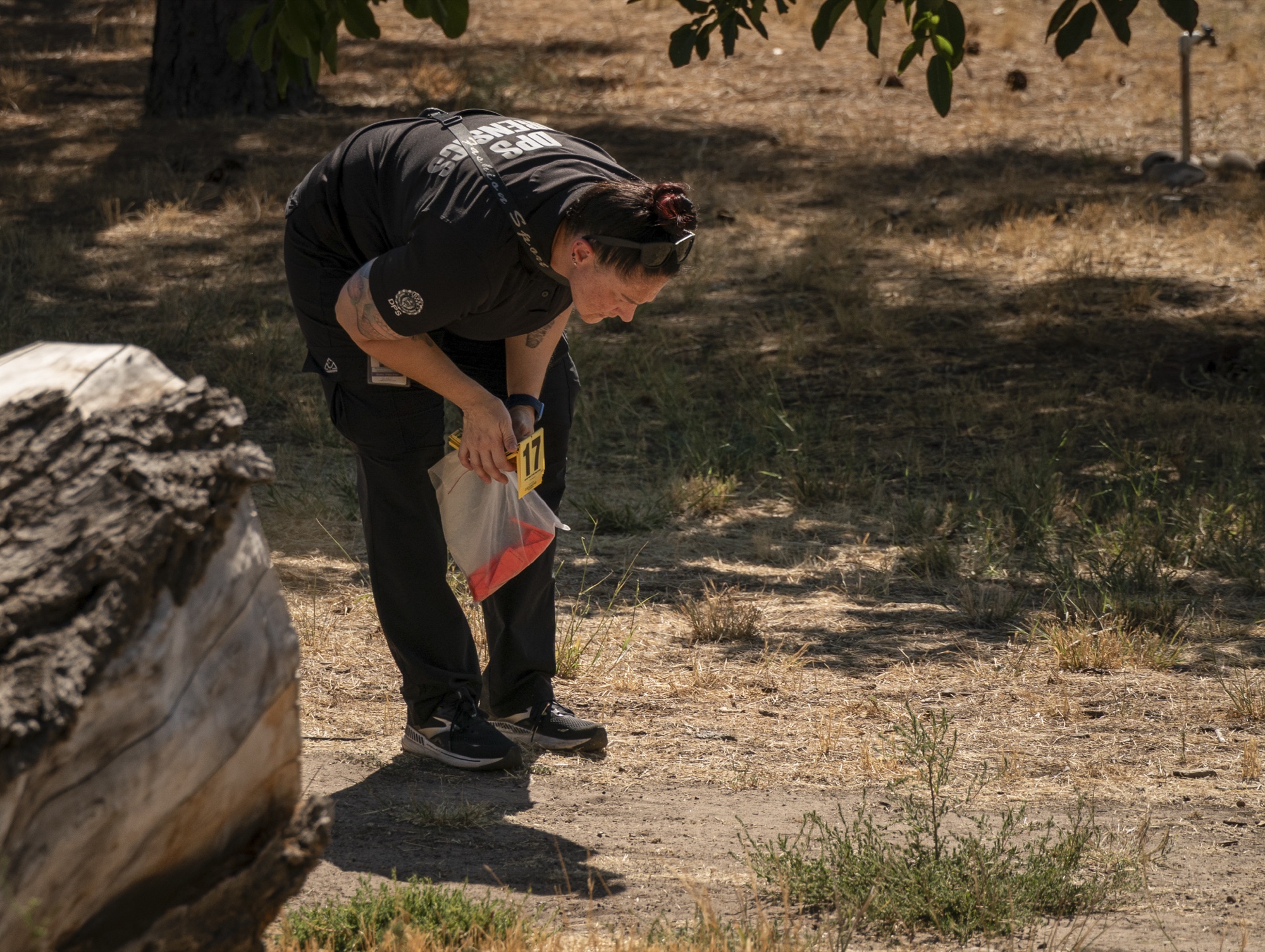 Ballistics & Forensics — Photo 1