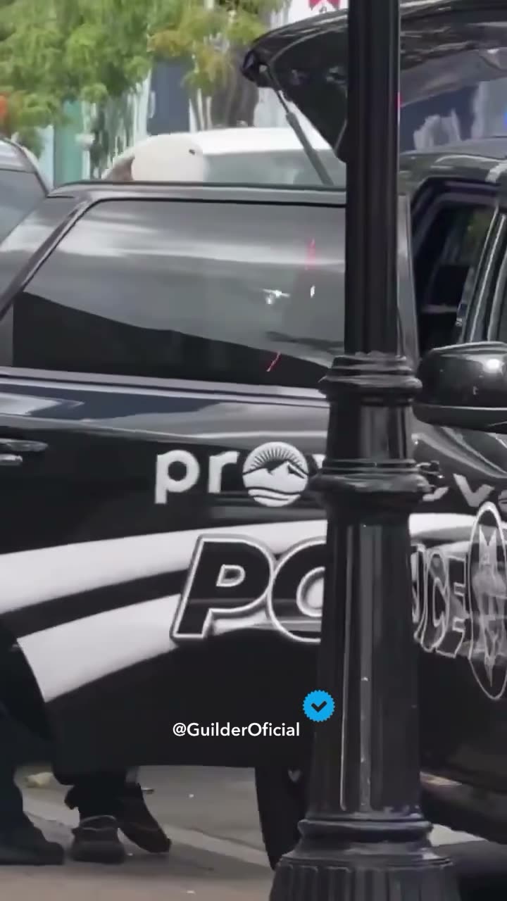 Pellet Gun Man Detention - Watermarked Repost