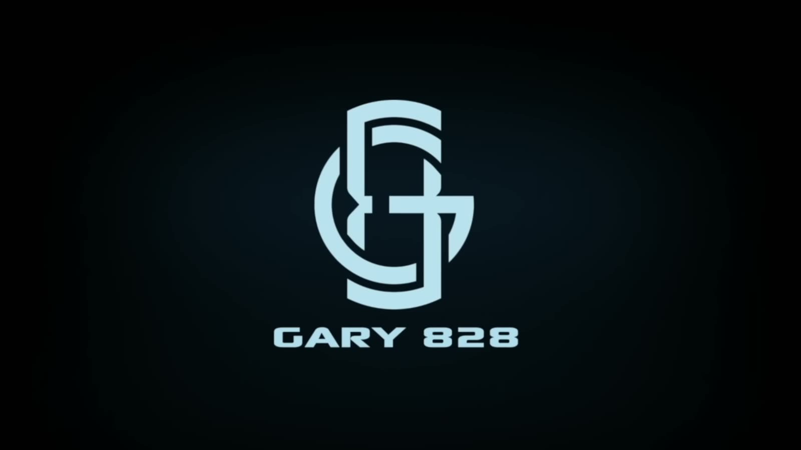 'GARY 828': A Fourteen-Minute Video Essay on the Footage Record